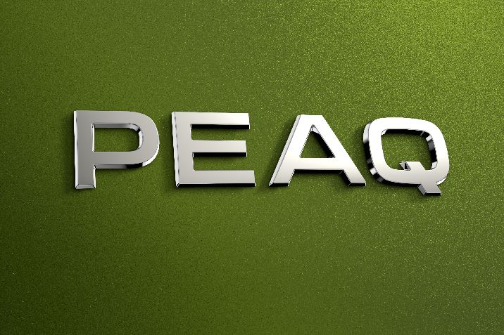 Skoda peaq