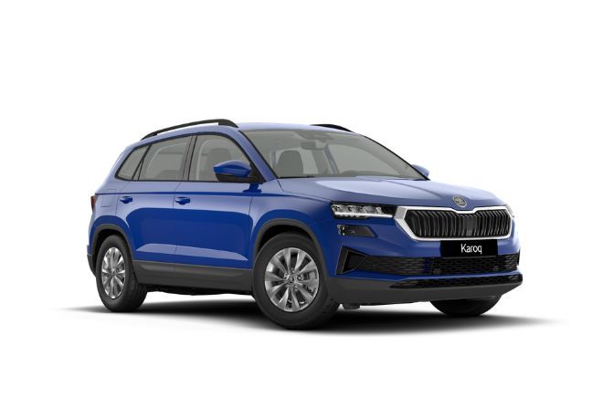 Skoda%20Karoq%20Joy