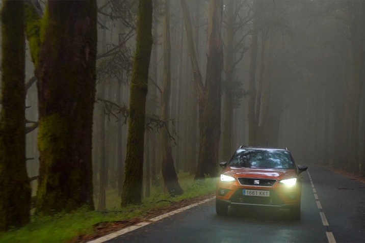 Lehullott falevelek, eső és köd: őszi kihívások az autózásban